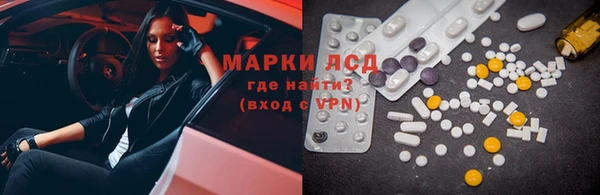 a pvp Бородино