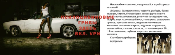 трава Верея