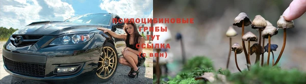 мдпв Верхний Тагил