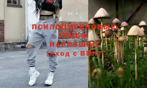 стаф Богданович