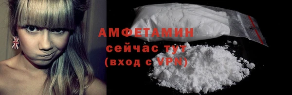 a pvp Бородино