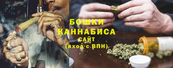 a pvp Бородино