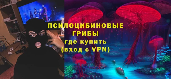 a pvp Бородино