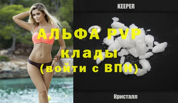 a pvp Бородино